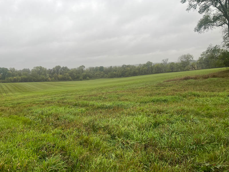 Real Estate Auction Evansville WI Details